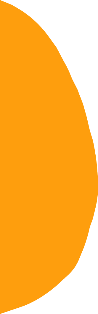 Decorative Background Shape